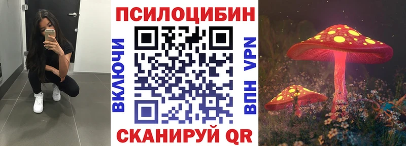 Купить где  Борисоглебск  Псилоцибиновые грибы мицелий 